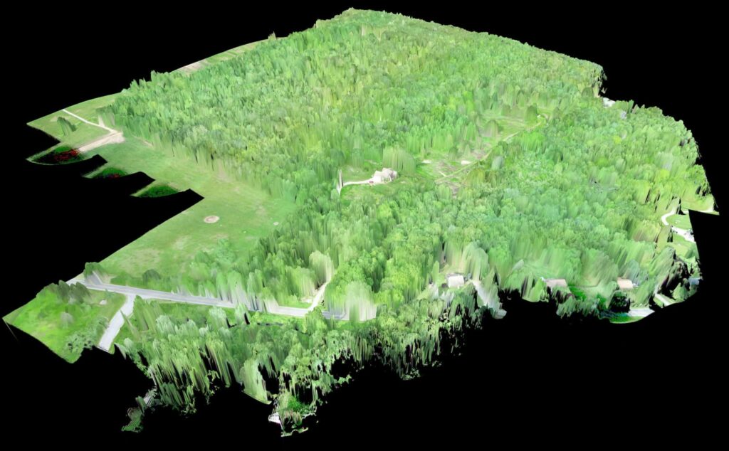 Terrain model with vegetation (3D)
