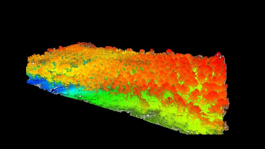 LIDAR point cloud of a wooded area, colored by height