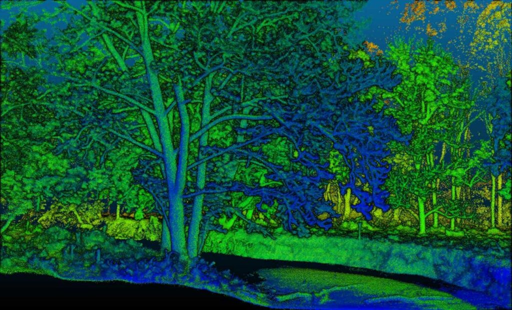 LIDAR point cloud of trees and ground, colored by height